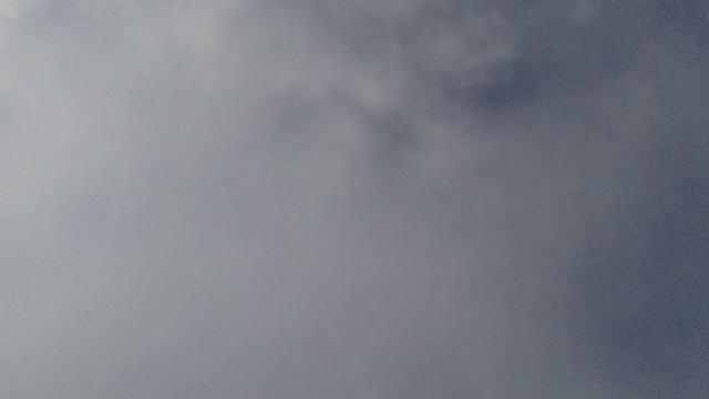20240831_095518.mp4 смотреть онлайн