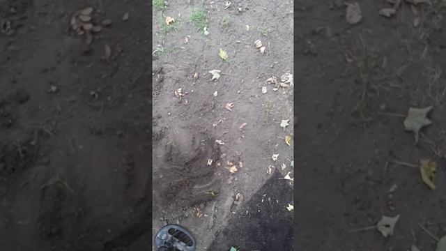 Backyard metal detecting finds teknetics g2 plus смотреть онлайн