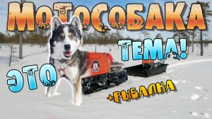 Мотобуксировщик в лесу | Рыбалка зимой с мотособакой