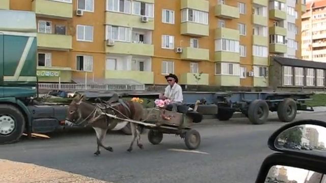 Экологически чистый транспорт смотреть онлайн
