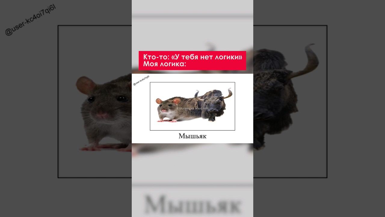 Логика 100000000 Lvl #shorts