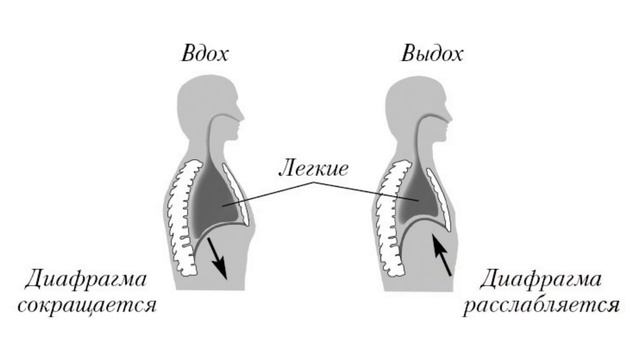 ⭐️ ТЫ УСНЕШЬ МГНОВЕННО ? Как побороть бессонницу и быстро заснуть ? смотреть онлайн