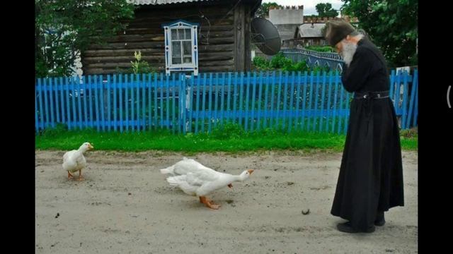 о силе иконы "Нерушимая Стена" смотреть онлайн