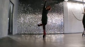 Экзотик флоу. Пол дэнс экзотик. pole dance exotic. Russian exotic.