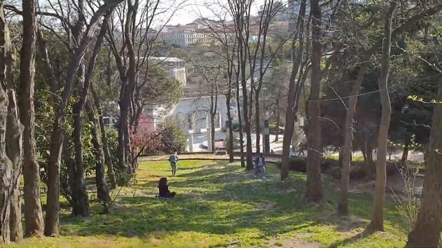 Мачка парк смотреть онлайн