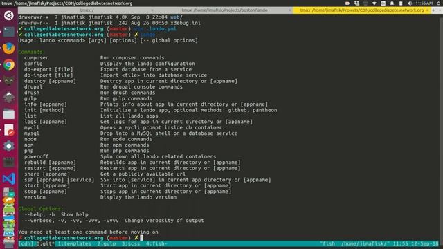 Adding Mycli to Lando смотреть онлайн