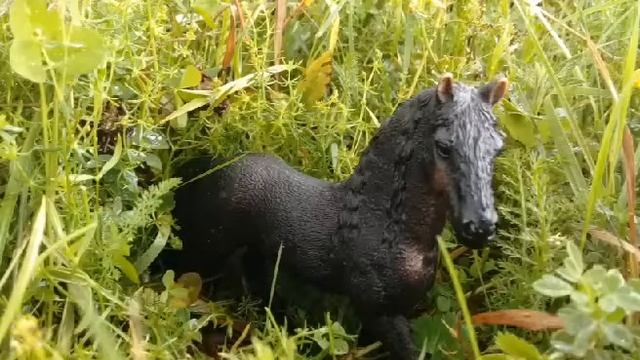 Фото фризов schleich смотреть онлайн