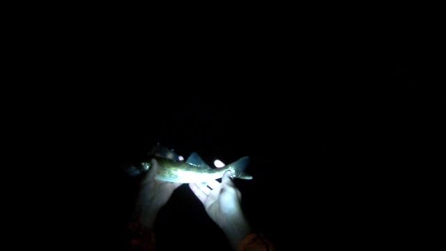 Lure Fishing #47 - Berkley Gulp Jig Fishing for River Walleye and Gizzard Shad смотреть онлайн