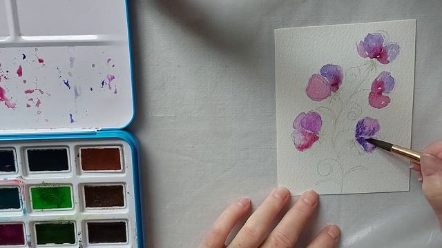 Line & Wash Beginner Watercolor Of Sweet Peas.  Graphite Pencil Then  Watercolor Pencils & Paint.