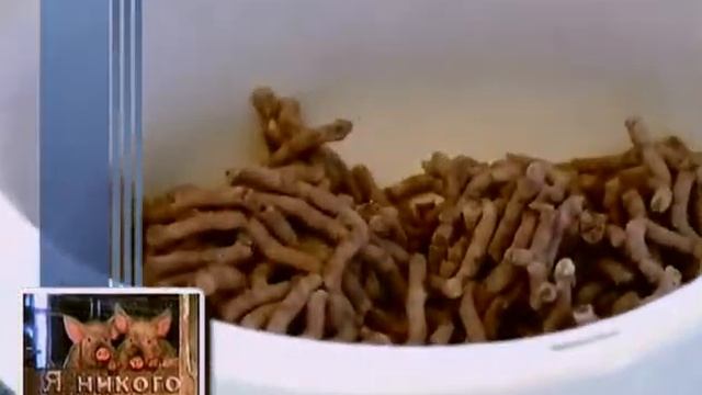 Я никого не ем | Вегетарианский паштет из фасоли | Вегетарианские рецепты смотреть онлайн