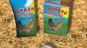 Чтобы куры неслись как следует!