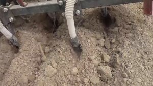 Посев СУДАНКИ мотоблоком!