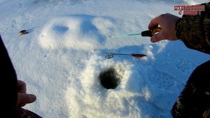 А стоило ли туда ехать? Рыбалка в затоне р. Сура. Красное селище.