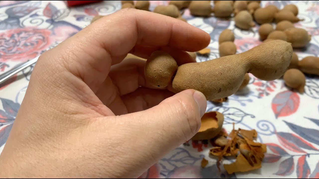 Как правильно есть тамаринд \ How To Eat Tamarind Тамаринд   Индийский фрукт  Стоит ли его кушать?