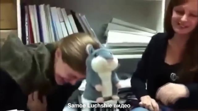 Говорящий хомяк порвал YouTube / hamster broke YouTube [720p] смотреть онлайн