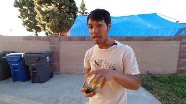 How to Propagate Nepenthes Pitcher Plant with a Bottle and Water смотреть онлайн