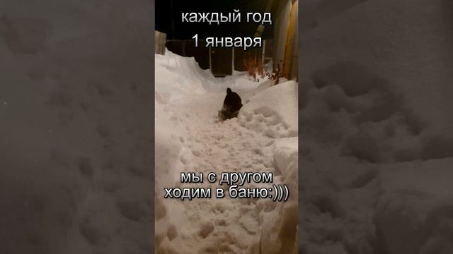 Лучший друг #Shorts