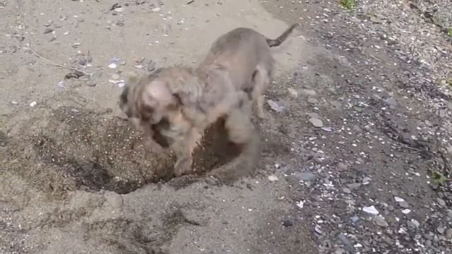 Дунька Приморская смотреть онлайн