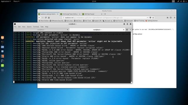Badstore Vulnhub Pentesting Using Kali Linux