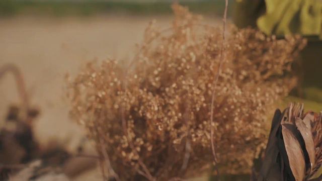 Lost In Savanna Teaser смотреть онлайн