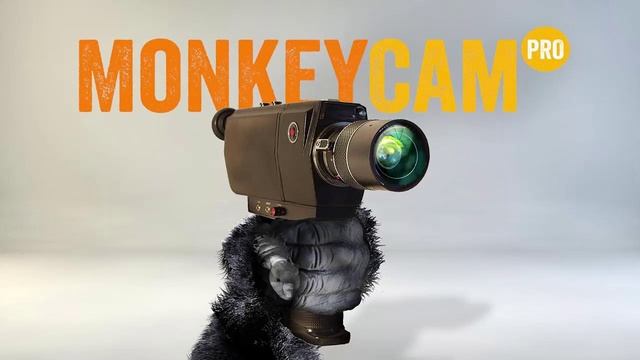 Monkey Suite Bundle смотреть онлайн
