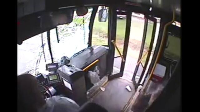 Олень влетел в лобовое стекло! Deer crashes into bus 14.05.2013 смотреть онлайн