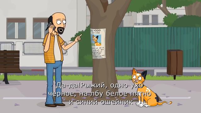 Потерялся кот! смотреть онлайн