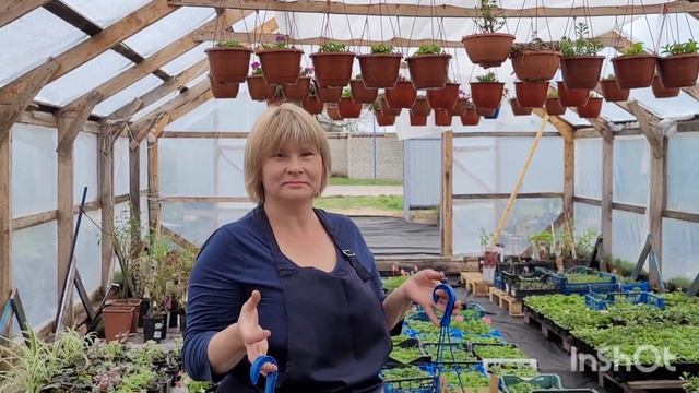 Мы открылись ! Цветы и кустарники ждут новых хозяев ! смотреть онлайн