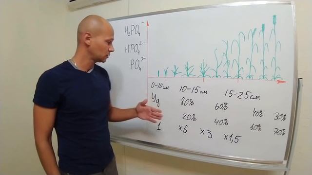 Принципы питания растений и внесения фосфорных удобрений смотреть онлайн