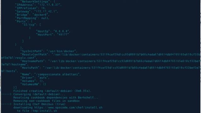 test-kitchen and kitchen-docker смотреть онлайн