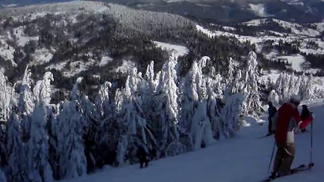 10 лет. Славское. Паша таранит ёлку. смотреть онлайн