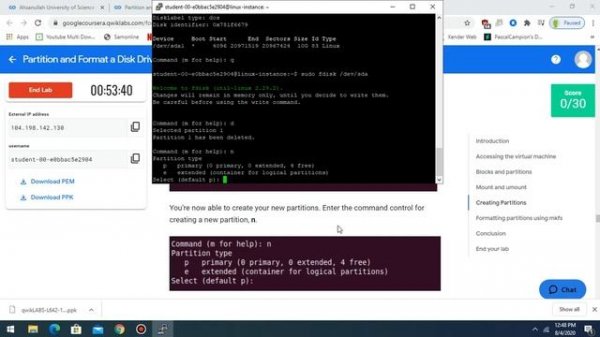 Partition and Format a Disk Drive in Linux |Coursera |Qwiklabs | Google IT