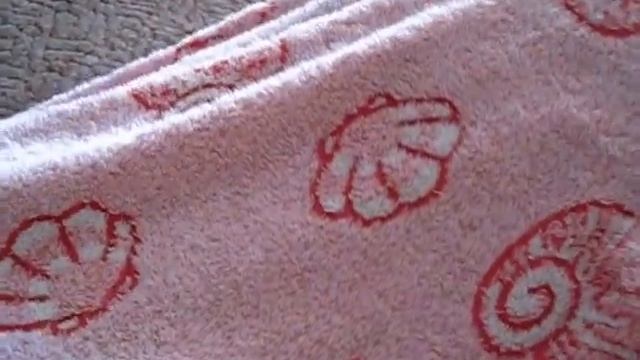Донской сфинкс (велюровый котенок). Похож на чёрта! Очень бодрый. смотреть онлайн