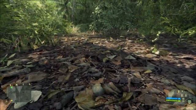 [Crysis] AMD Radeon HD 6950 ULTRA Settings смотреть онлайн