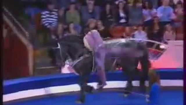 лошади в цирке смотреть онлайн