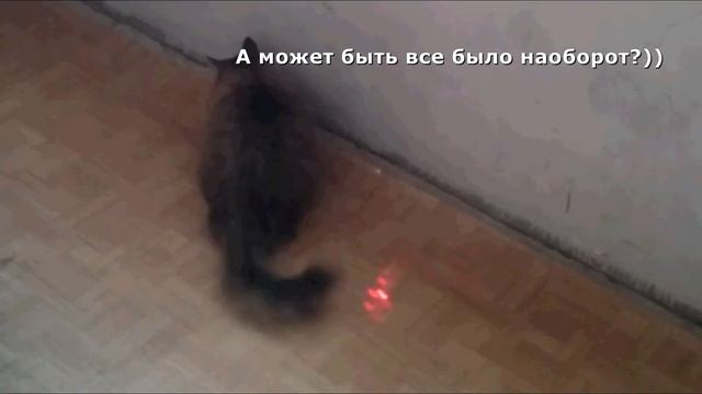 Кошкин танец смотреть онлайн