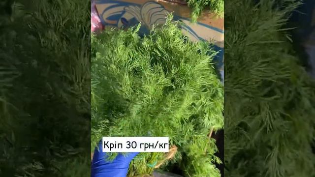 Ціни на зелень🌱