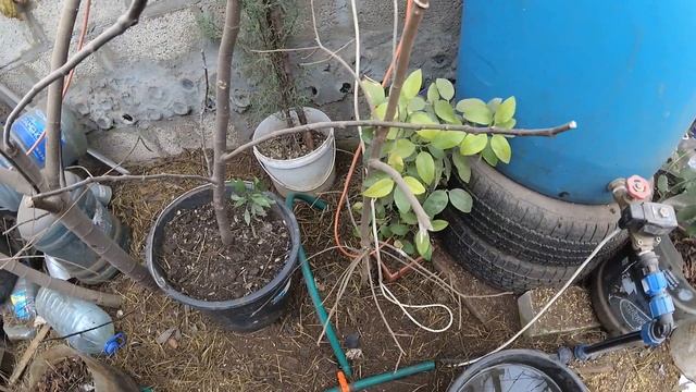 Конец зимы, что в теплице смотреть онлайн