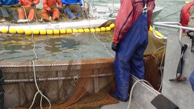 Использование мотолодки Рыба 9900Щ http://aeroboat.ru/ смотреть онлайн