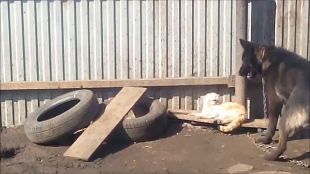 Встретились 2 друга смотреть онлайн
