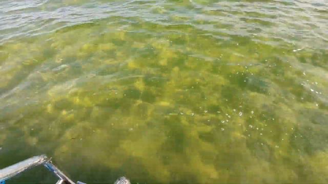 Нарочанские зарисовки смотреть онлайн