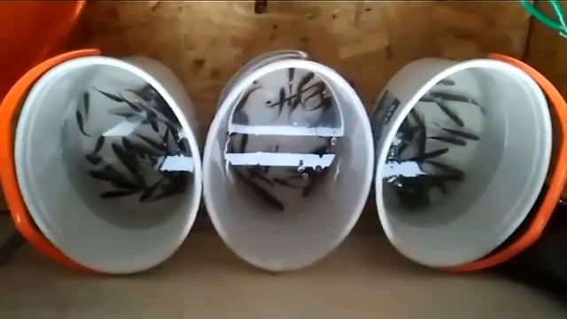 Живец/Круглосуточно/Любой район города/ОПТ смотреть онлайн