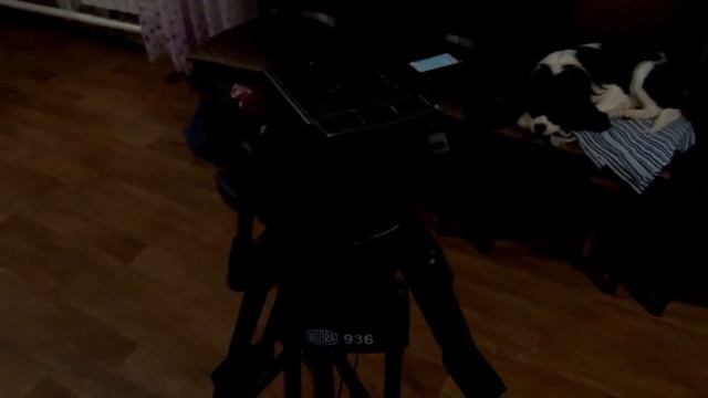 НОВОГОДНИЕ ИМБИРНЫЕ ПЕЧЕНЬЯ В СТУДИЮ! смотреть онлайн