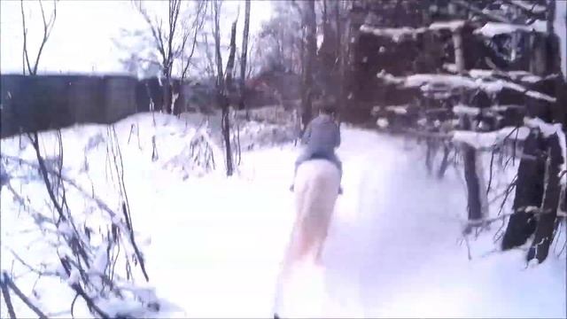 КСК Нимб | Активатор | поездка в лес с Машей | 12.01.2019 смотреть онлайн