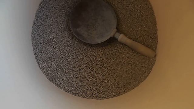 Куры несушки молодки Ломан Браун. Что важно учесть! Первые 2 недели после покупки