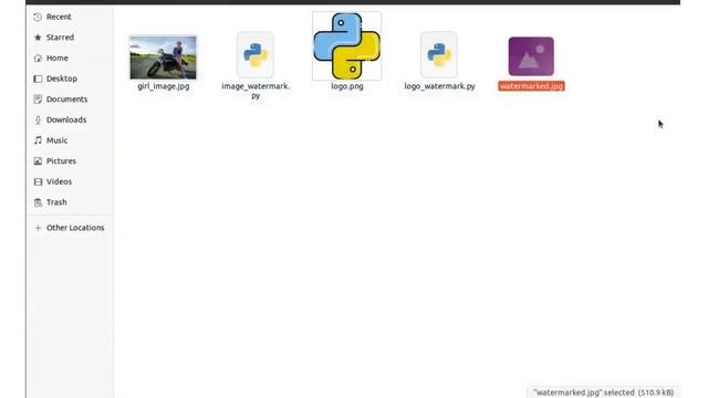 Create a Watermark on a Photo Using Python | Add logo to an Image | Pillow Module смотреть онлайн