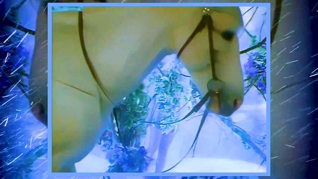 Натали - Снежная Роза. Аппликация URETS смотреть онлайн