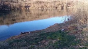 Kotello pilot революционная идея в мире автопилотов для прикормочных корабликов