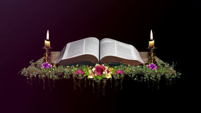 14 04 EVANGELHO DO DIA DE HOJE PALAVRA DE DEUS PARA HOJE PALAVRA DO EVANGELHO DE HOJE смотреть онлайн