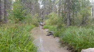 проходимость stels guepard, стелс гепард